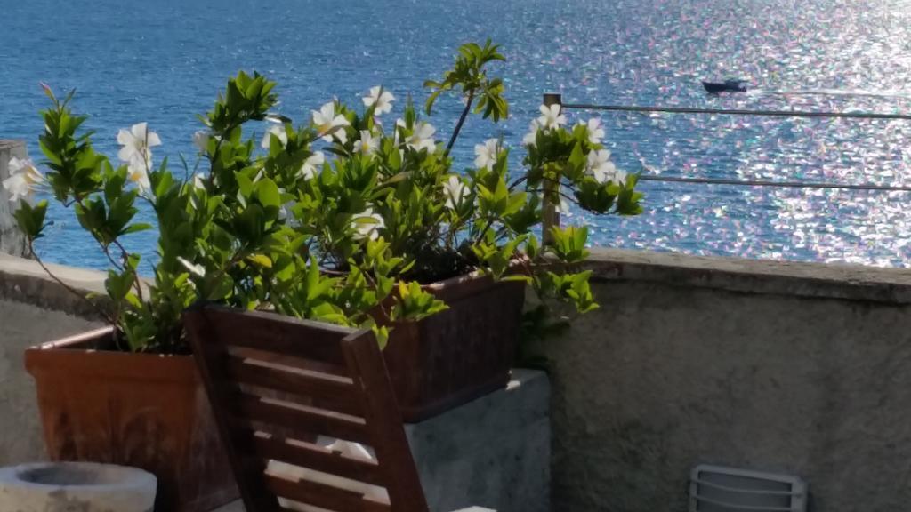 Le Sirene Frühstückspension